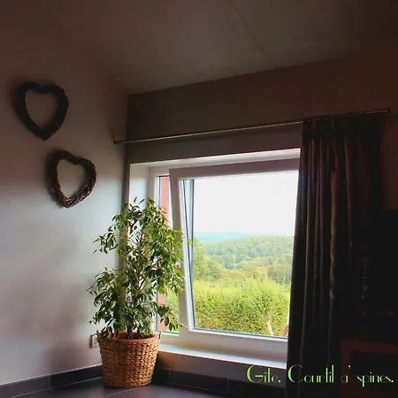 Courtil A S'pines 乡村民宿 *